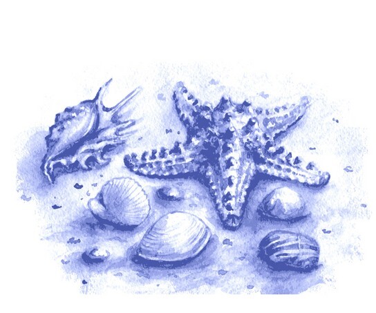 Watercolor stones, seashells and starfish.